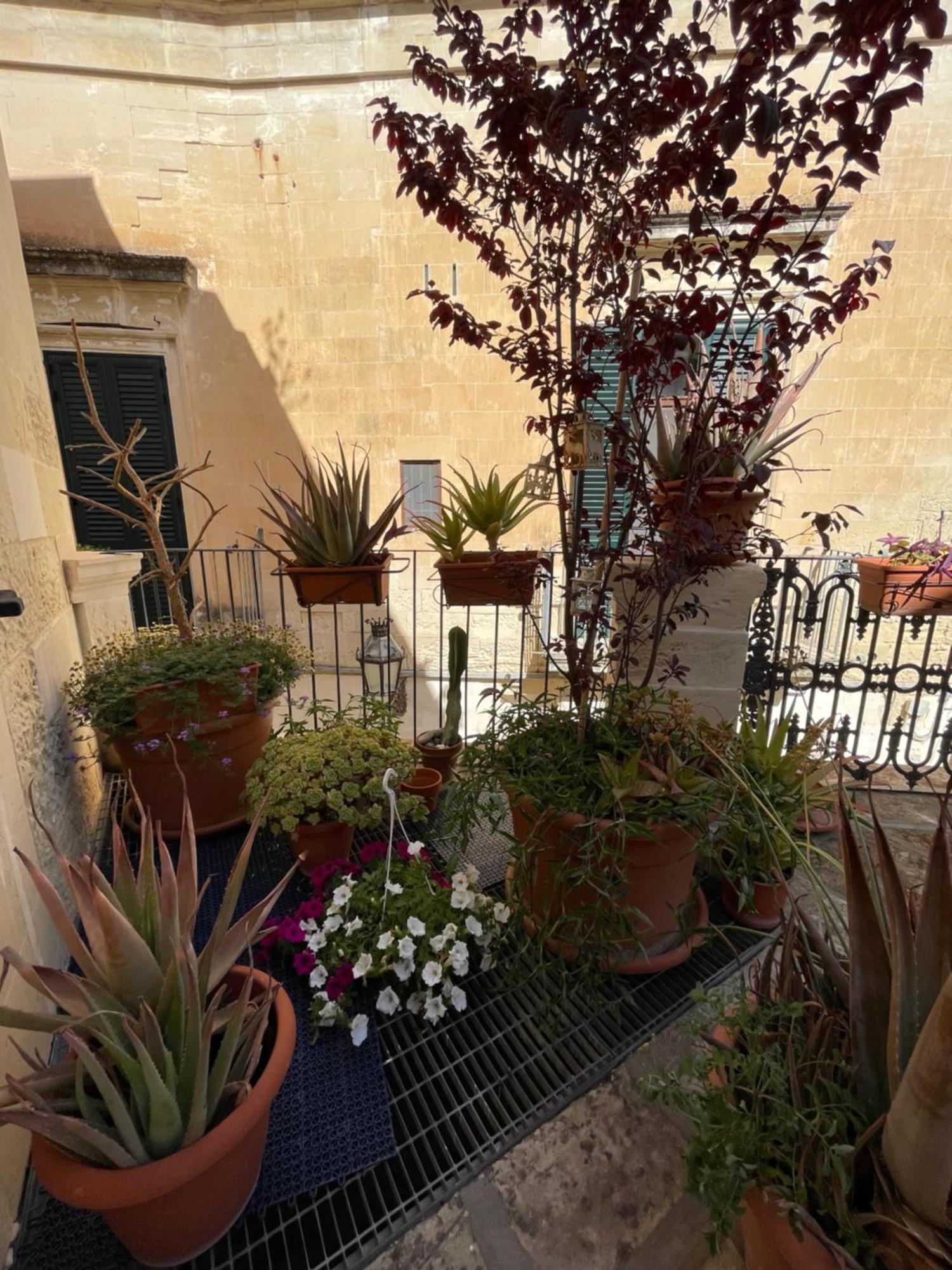 Bed and Breakfast Antica Dimora Dei Nonni à Lecce Extérieur photo